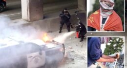 Anti-ICE rioters plead guilty to attacking police with rocks and fireworks in LA