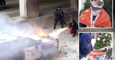 Anti-ICE rioters plead guilty to attacking police with rocks and fireworks in LA
