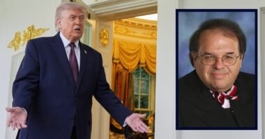 Appeals court forces exclamation point-loving judge to 'clarify' key question after Trump DOJ couldn't get story straight on 'security fixtures'