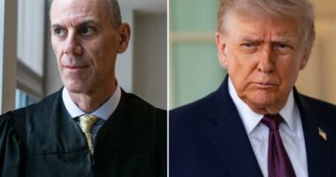 Appeals court orders Judge James Boasberg to end criminal contempt proceedings against Trump officials