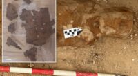 Archaeologists find piece of famous book in 1,600-year-old Egyptian mummy's guts