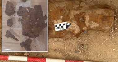 Archaeologists find piece of famous book in 1,600-year-old Egyptian mummy's guts