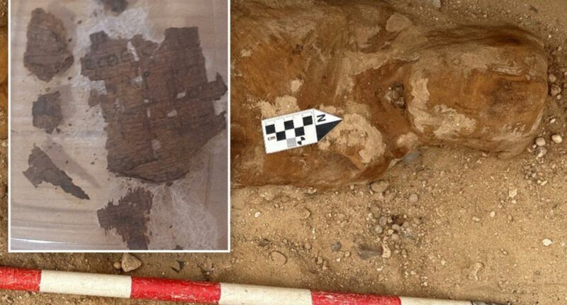 Archaeologists find piece of famous book in 1,600-year-old Egyptian mummy's guts