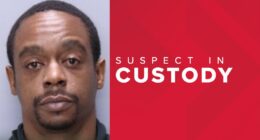 Arrest made in fight-turned-stabbing in St. Johns County, sheriff's office says