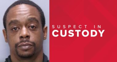 Arrest made in fight-turned-stabbing in St. Johns County, sheriff's office says