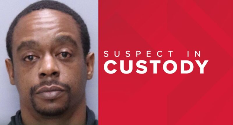 Arrest made in fight-turned-stabbing in St. Johns County, sheriff's office says