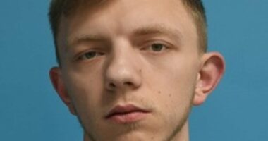 Arsonists firebombed Starmer's home after 'El Money' offered them cash