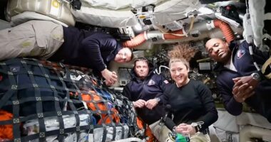 Artemis II crew describes life aboard Orion spacecraft on historic journey to the moon and back