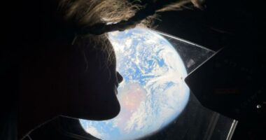 Artemis II crew is releasing absolutely gobsmacking new photos of Earth