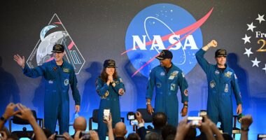 Artemis II crew return to Houston and say they are 'bonded forever'