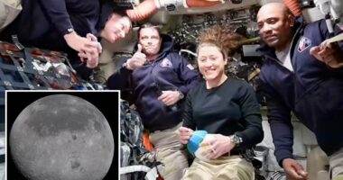 Artemis II flies by moon in first, historic look at the lunar dark side