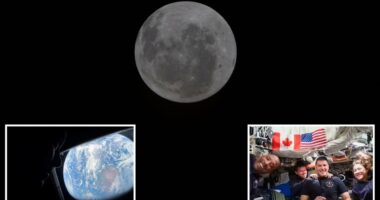 Artemis II makes historic moon sighting as crew preps for highly-anticipated lunar flyby