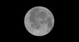 This photo provided by NASA shows the moon seen from the Orion spacecraft Integrity during the Artemis II mission on Friday, April 3, 2026. (NASA via AP)