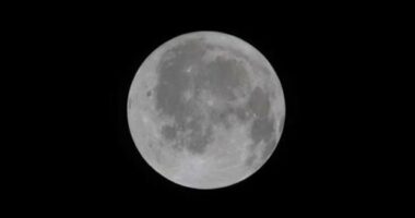 This photo provided by NASA shows the moon seen from the Orion spacecraft Integrity during the Artemis II mission on Friday, April 3, 2026. (NASA via AP)