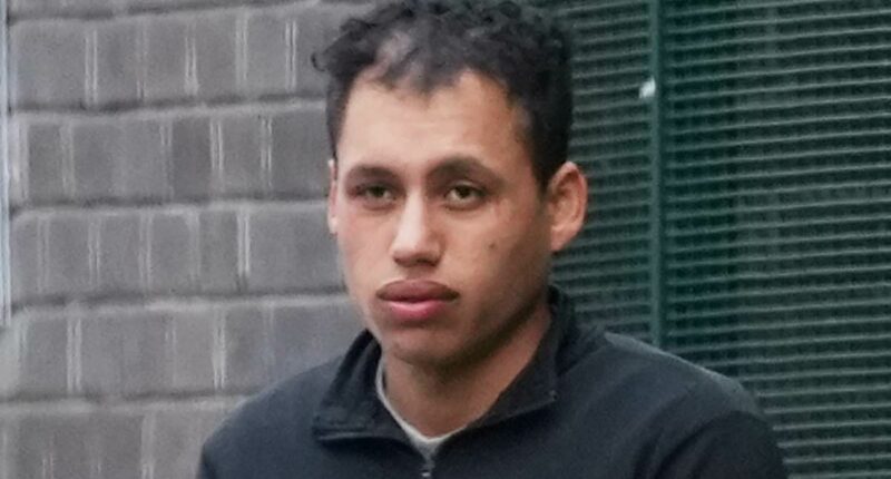 Asylum seeker accused of gang-raping woman claims 'rape is sex'