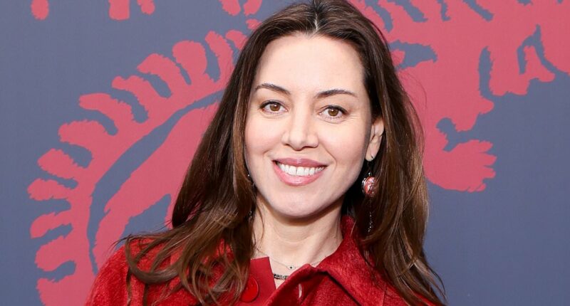 Aubrey Plaza pregnant with first child one year after husband's death