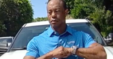 Aussie golf star Jason Day slams 'selfish' Tiger Woods over his DUI drama: 'He's struggling with addiction'