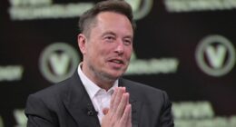 Aussies hit back at Elon Musk after the tech billionaire declared 'Australians are becoming an endangered species' as birth rate plummets to all-time low