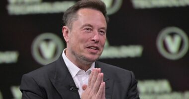 Aussies hit back at Elon Musk after the tech billionaire declared 'Australians are becoming an endangered species' as birth rate plummets to all-time low