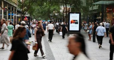 Shoppers at Pitt Street Mall in Sydneys