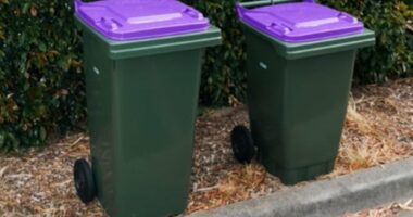 Aussies laugh at huge fail as FOURTH bin is rolled out across state