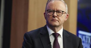 Prime Minister Anthony Albanese.
