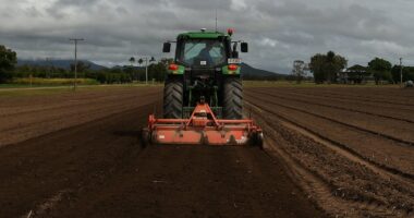 Australia scores win after China froze essential export to the country