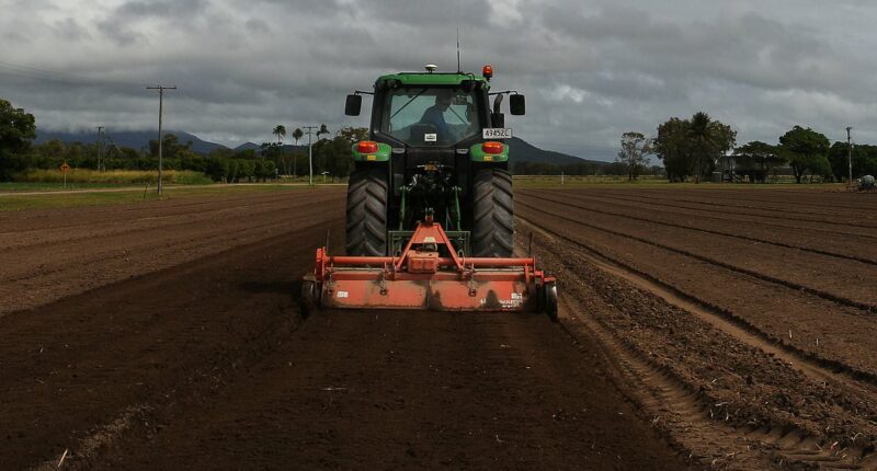 Australia scores win after China froze essential export to the country