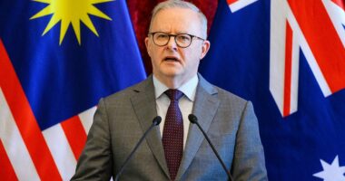 Australia secures 100million diesel lifeline after Albo's crisis talks