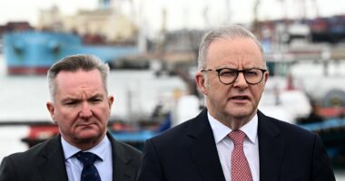 Australia secures four cargo ships with 200million litres of diesel