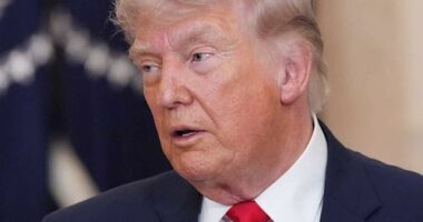 Donald Trump during his primetime address.