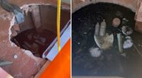 Australian tourist trapped waist-deep in sewage after outback toilet collapses