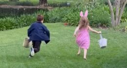 BOSHOFF: These pictures reveal how far the Sussexes' star has fallen