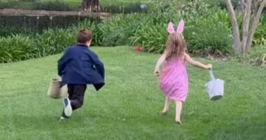 BOSHOFF: These pictures reveal how far the Sussexes' star has fallen