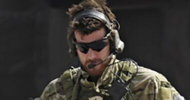 BRS arrest was calculated to 'inflict maximum distress': insider