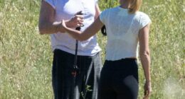 Baywatch star David Hasselhoff, 73, looks frail as he leans on wife