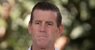 Ben Roberts-Smith slams 'sensational' arrest