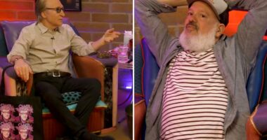 Bill Maher and David Cross in war of words over looney left and trans rights