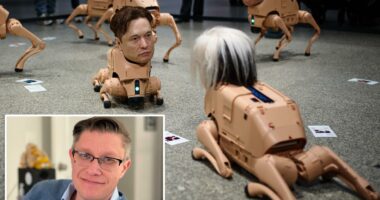Bizarre robot dogs sporting Musk, Zuckerberg heads torment visitors in Berlin museum -- as part of creepy influencer exhibit