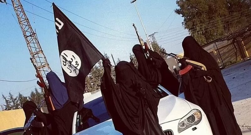Bleak fate awaiting at least two ISIS brides on return to Australia