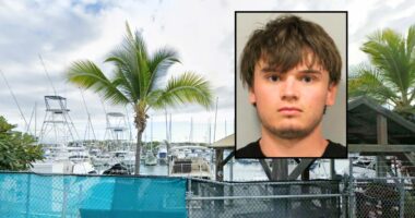 Boat captain leading snorkel tour stabbed by man: Cops