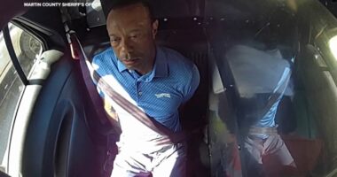Bodycam shows a stunned Tiger Woods handcuffed after a Florida rollover crash