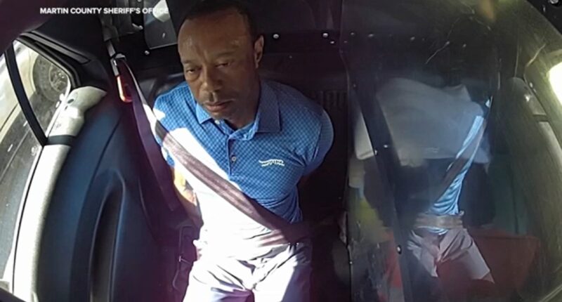 Bodycam shows a stunned Tiger Woods handcuffed after a Florida rollover crash