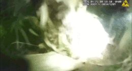 Bodycam shows dad bolt from cops with young child in his arms before ditching her alone in the woods