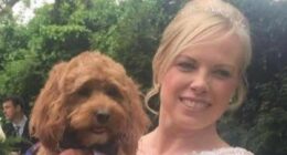 Bookkeeper who stole £1.4million from company bought Harley Davidson