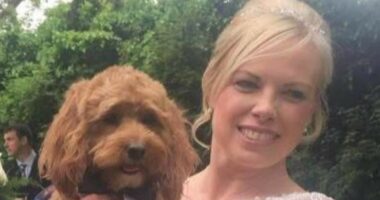 Bookkeeper who stole £1.4million from company bought Harley Davidson