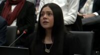 Border Patrol and ICE in Chicago: Marimar Martinez testifies on 2nd day of Illinois Accountability Commission