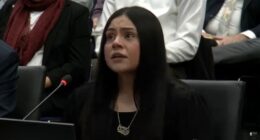 Border Patrol and ICE in Chicago: Marimar Martinez testifies on 2nd day of Illinois Accountability Commission