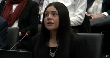 Border Patrol and ICE in Chicago: Marimar Martinez testifies on 2nd day of Illinois Accountability Commission