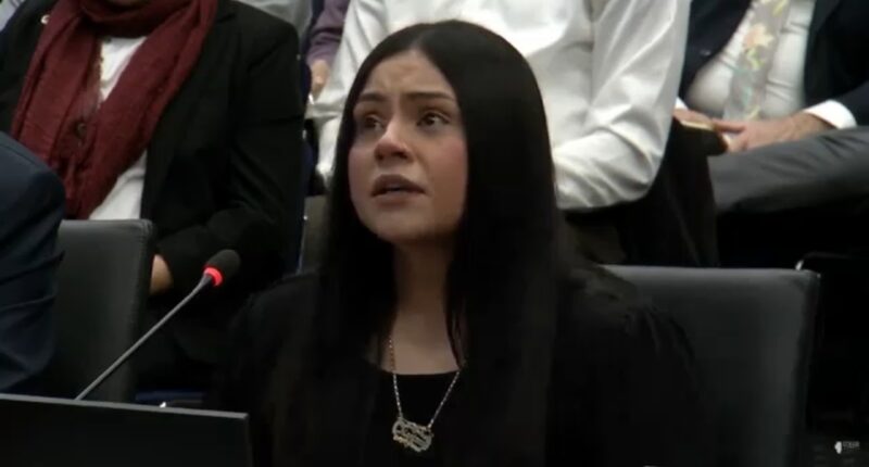Border Patrol and ICE in Chicago: Marimar Martinez testifies on 2nd day of Illinois Accountability Commission